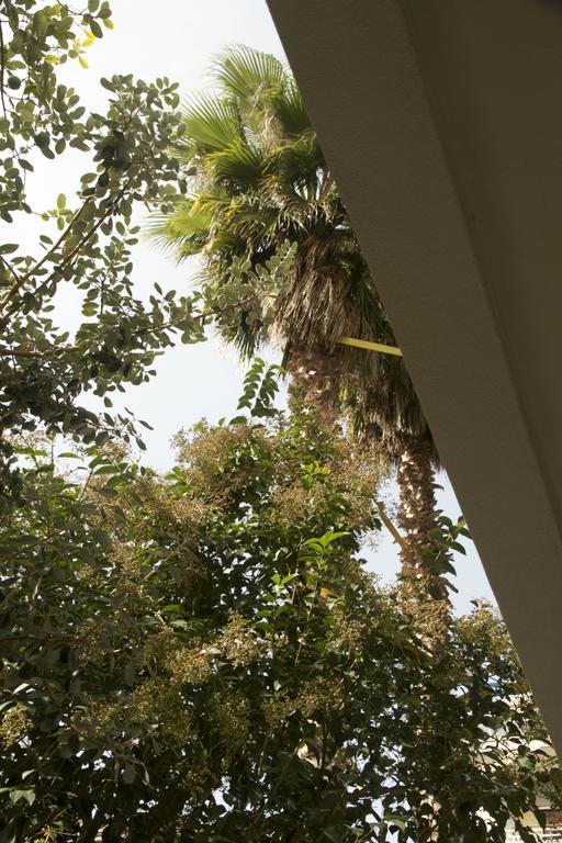 Casa Mimi B&B Pescara Dış mekan fotoğraf